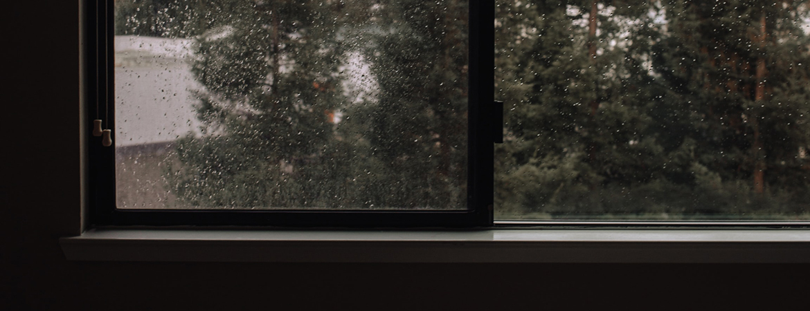 Looking out window on rainy day.
